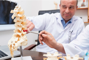 Osteopath pointing at spine inflammation model in the medical office