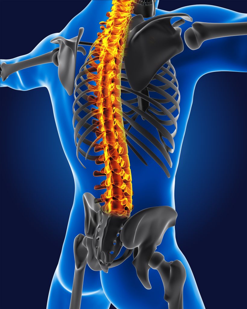 Medical man with skeleton spine highlighted