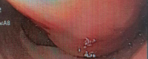 Screenshot 2023-09-01 at 6.53.54 PM